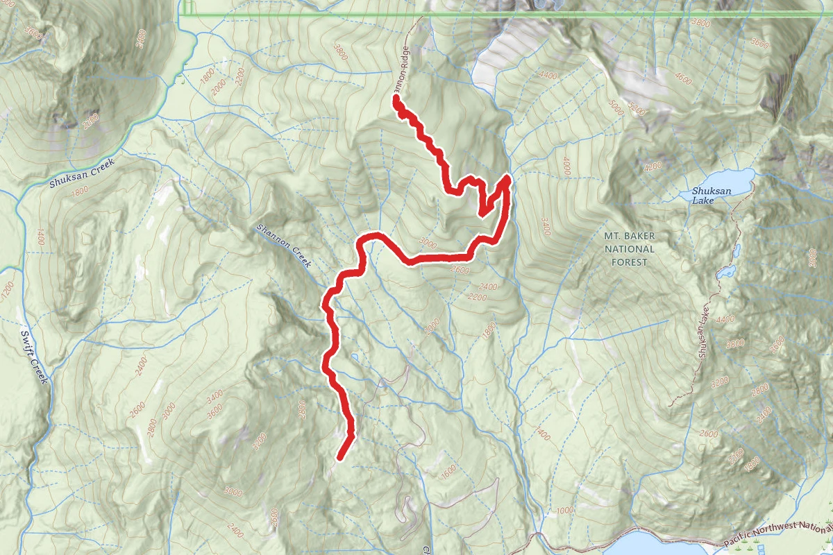 Shannon Ridge Trail