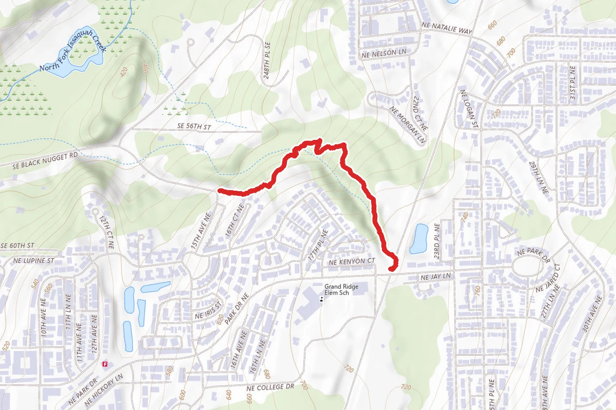 Cathy’s Trail