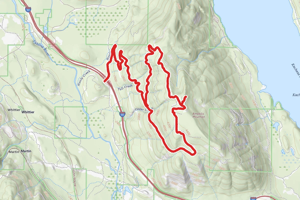 Amabilis Mountain Loop