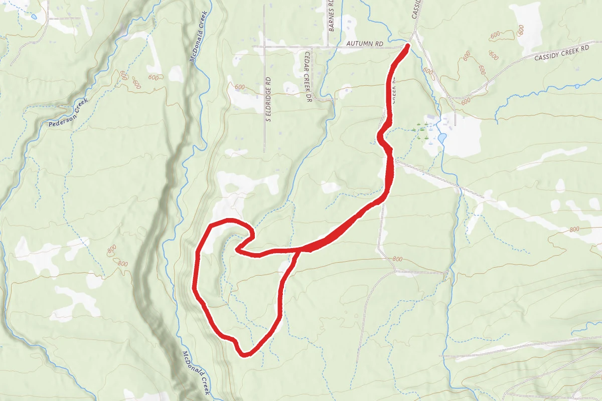 Cassidy Creek