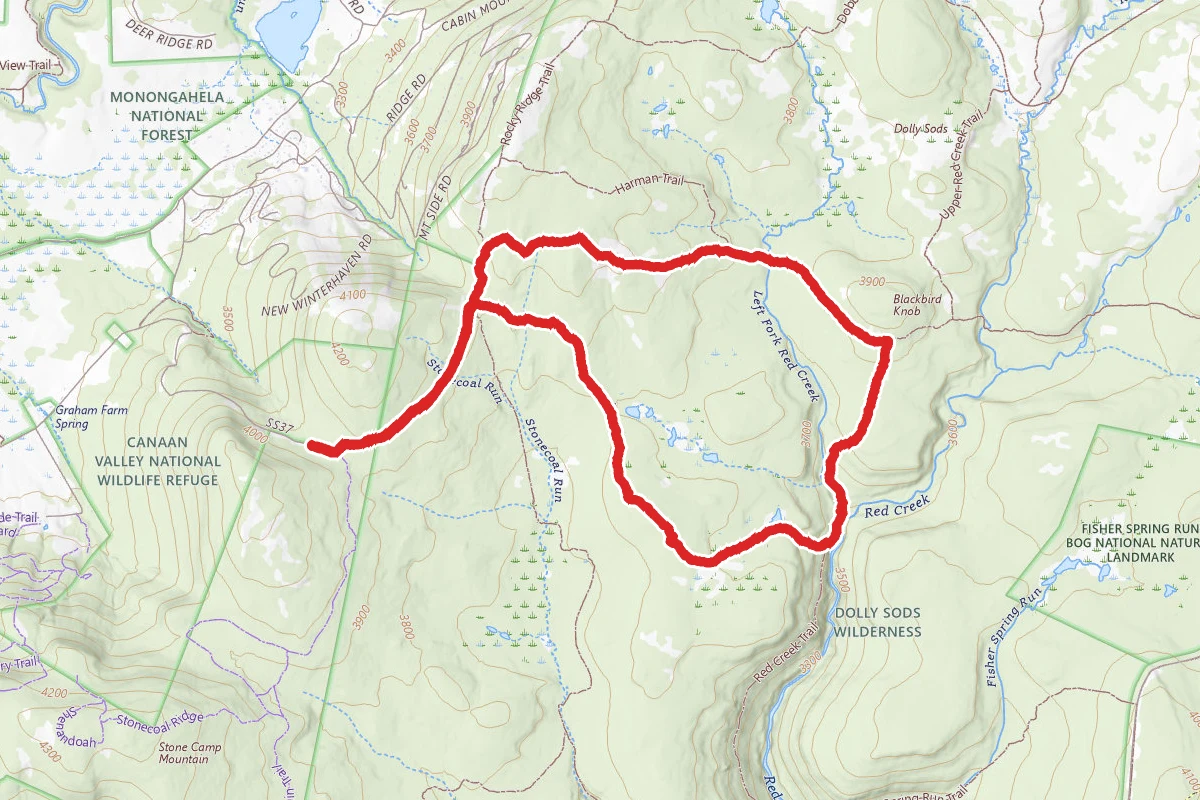 Breathed Mountain, Red Creek, and Blackbird Knob Loop