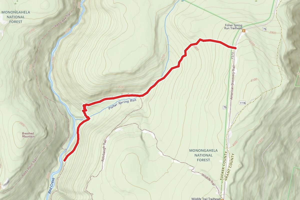 Fisher Spring Run Trail to Red Creek