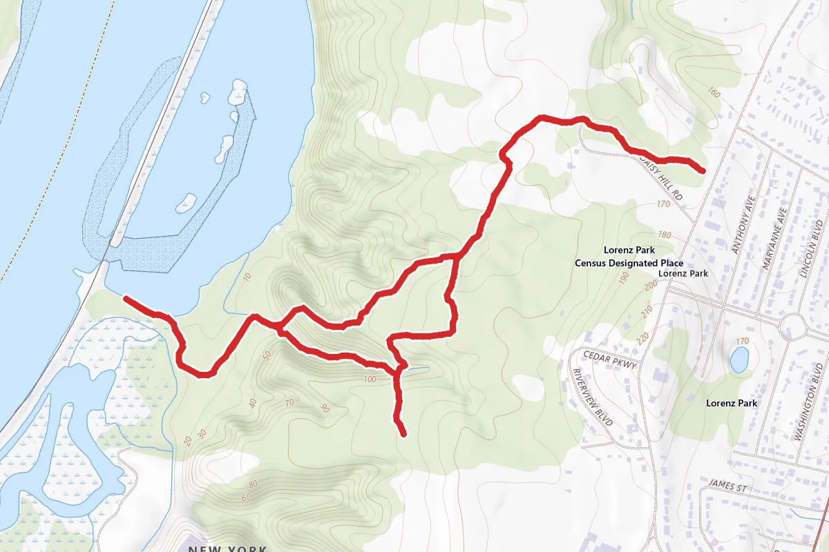 Greenport Conservation Area Yellow Trail Loop
