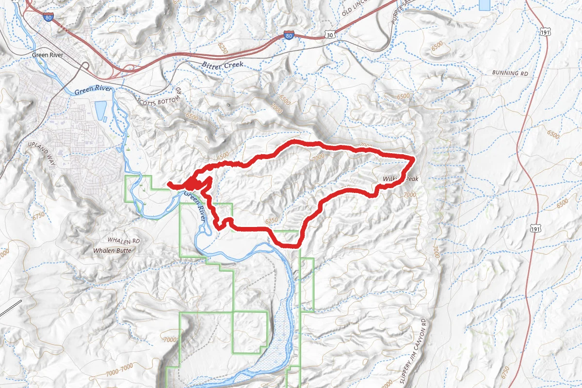 Wilkins Peak Trails