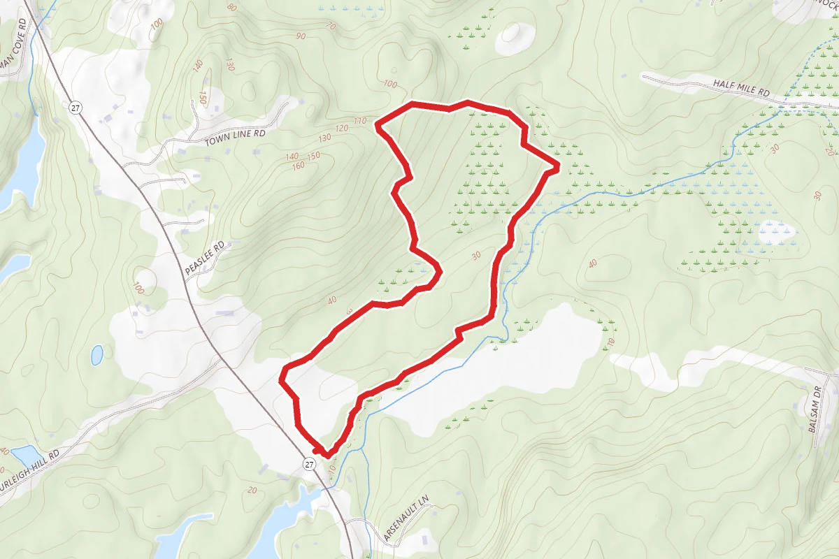 Zak Preserve Loop