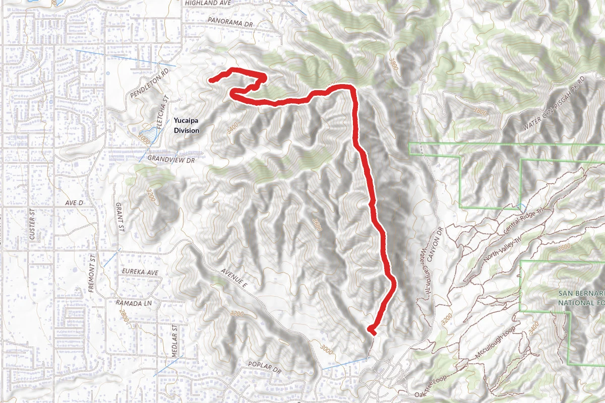 High Up Fire Road Trail