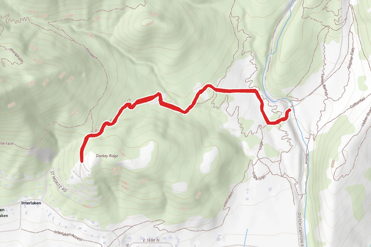 Donkey Ridge Trail