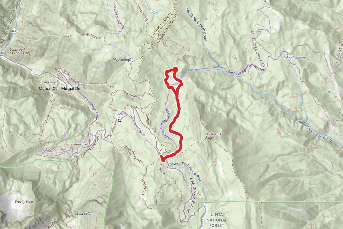 Alpine Summit to Elk Camp