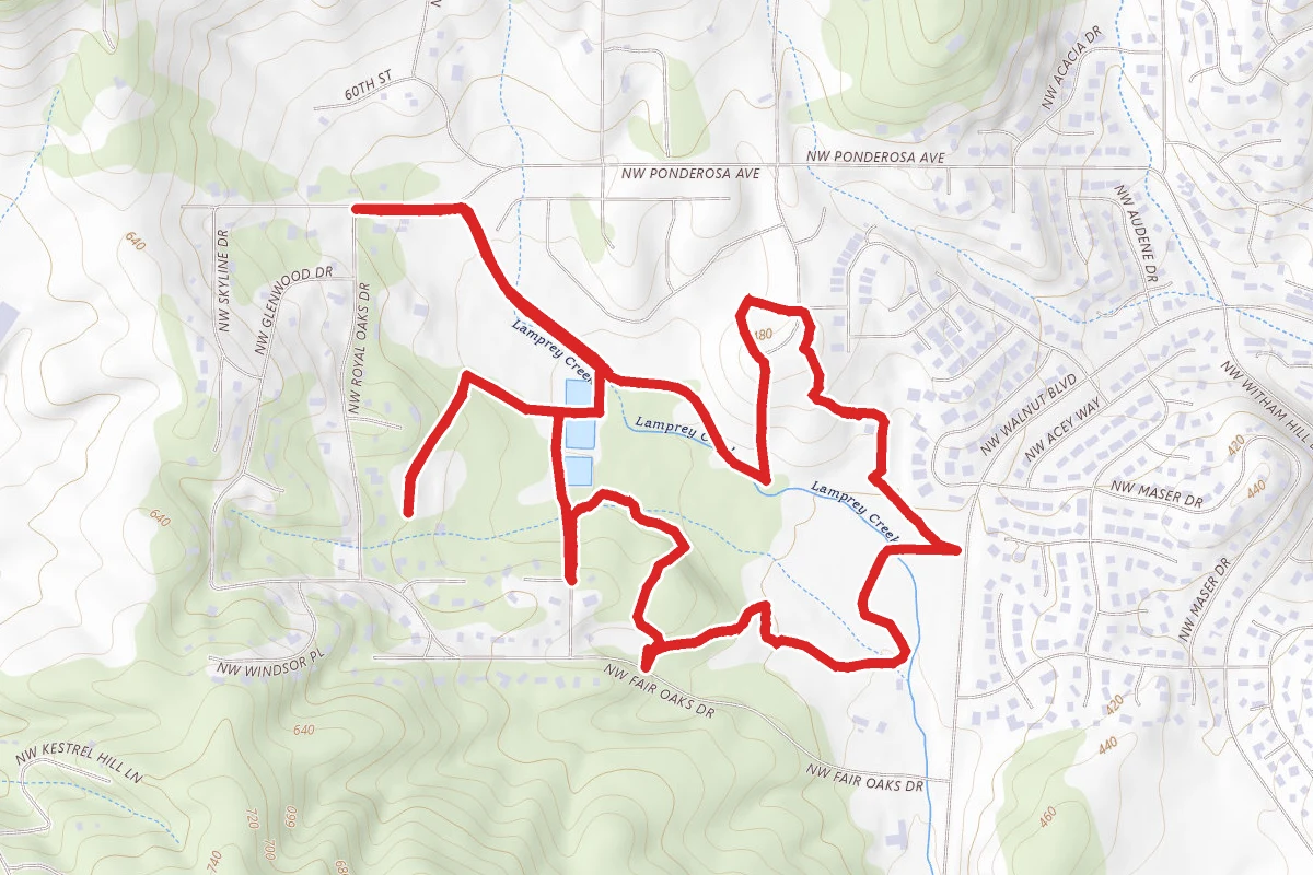 Martin Luther King Park Trail Loop