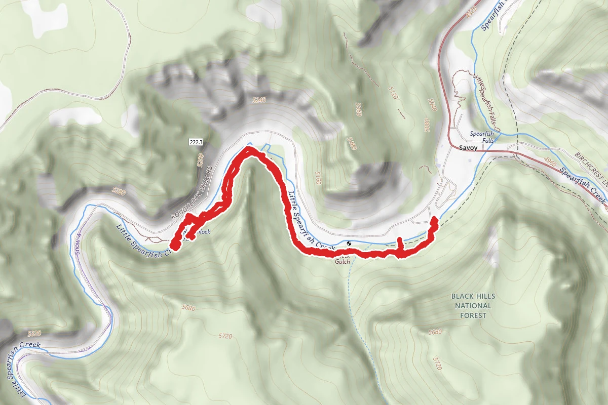 Roughlock Falls Trail