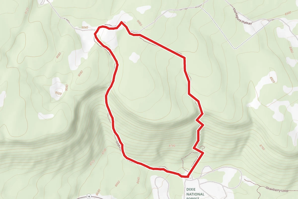 Lost Hunter Loop