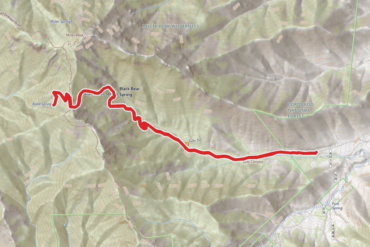 Lutz Canyon Trail