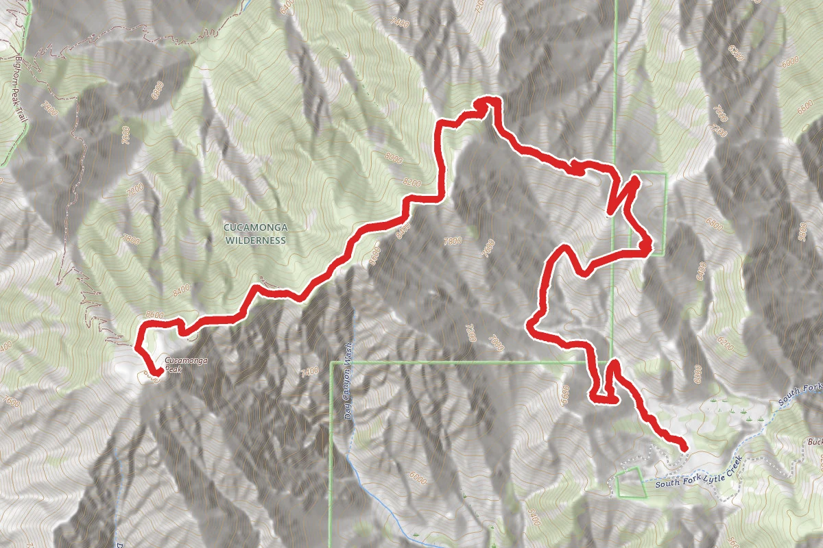 Big Tree Trail to Cucamonga Peak