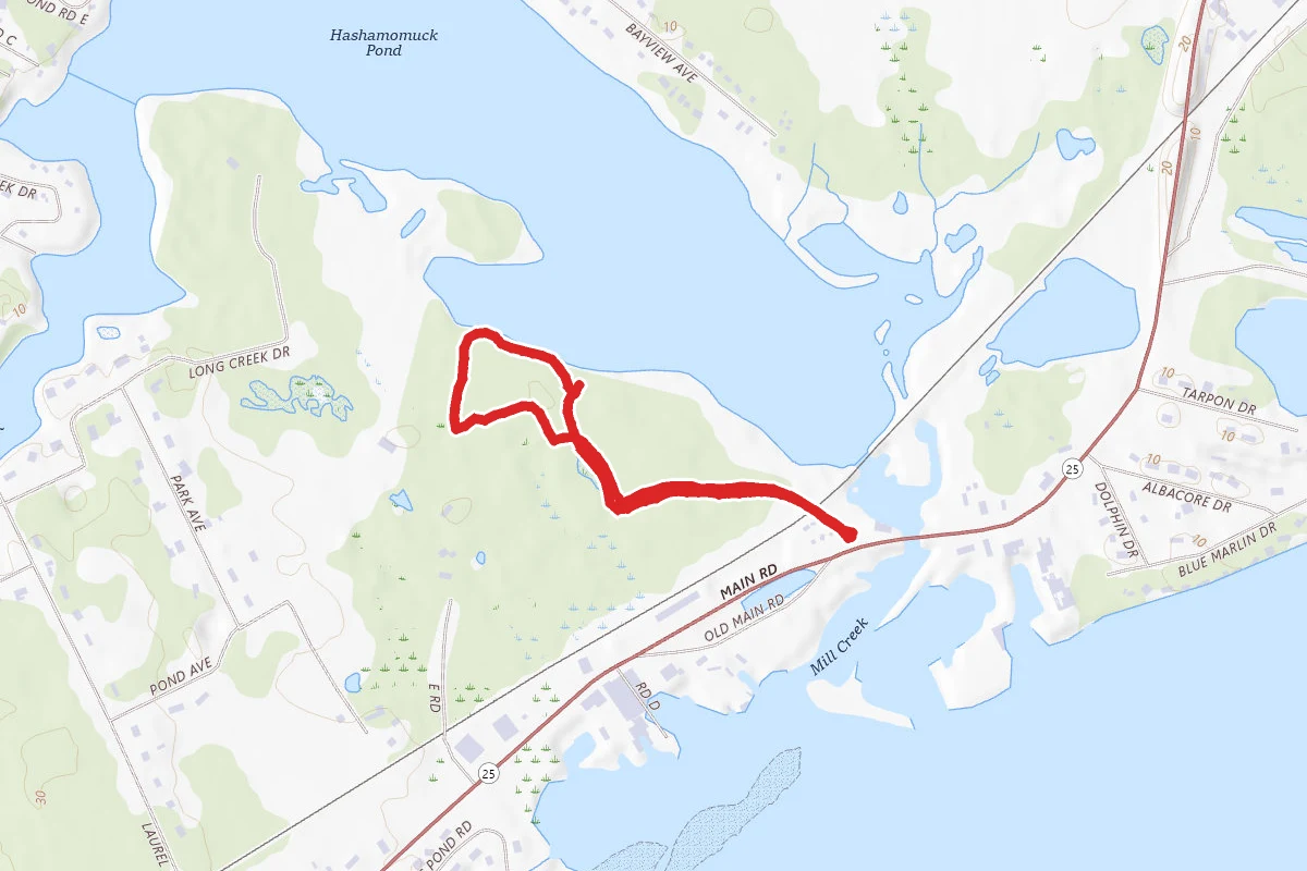 Hashamomuck Pond