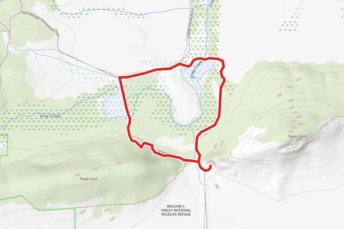 Beaver and Cattail Ponds Trail