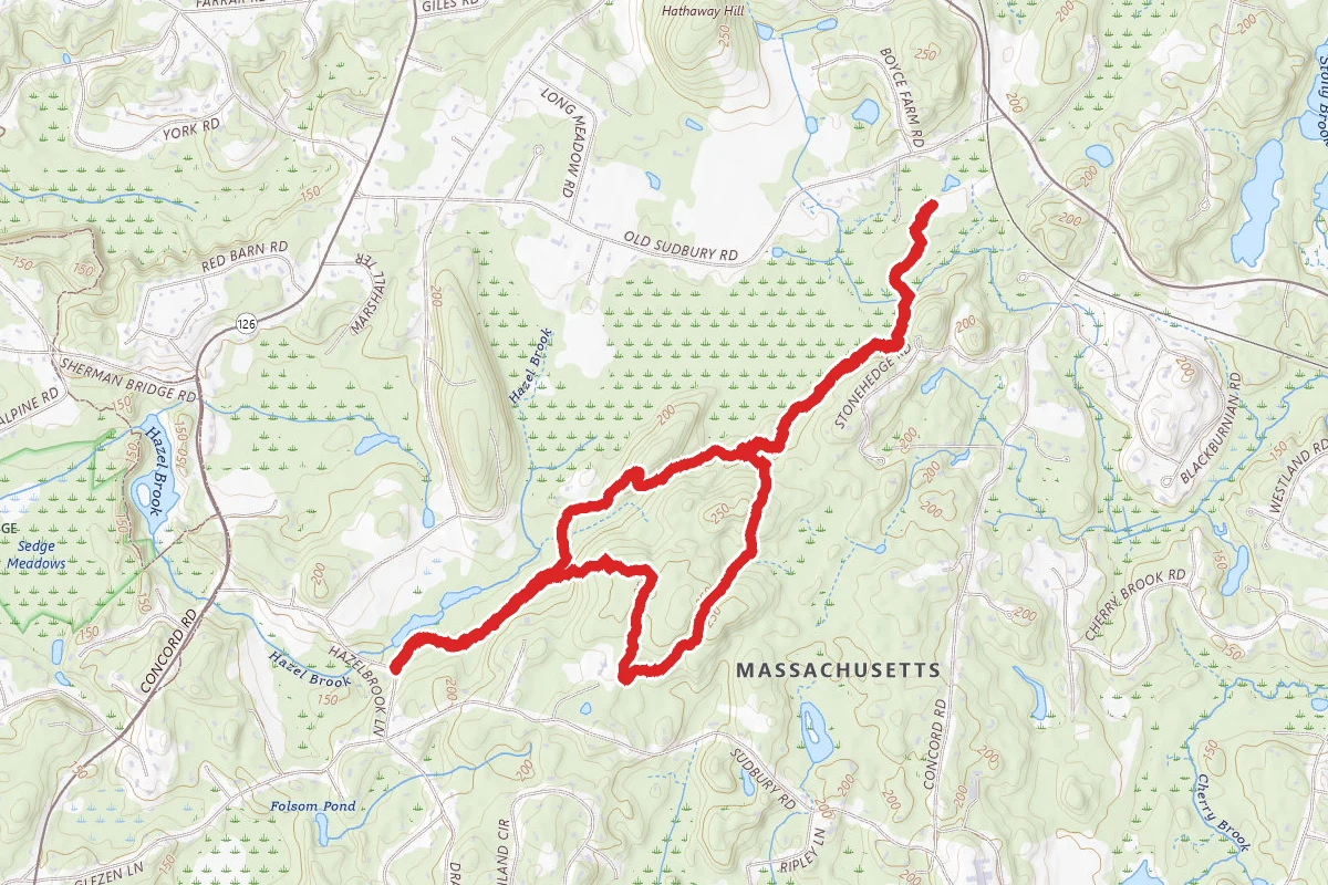 Hazel Brook Conservation Area