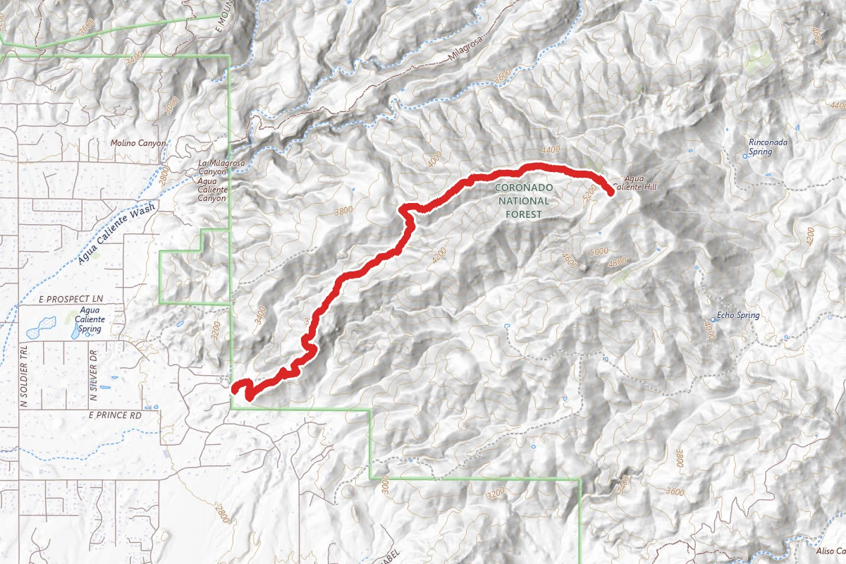 Agua Caliente Hill Trail