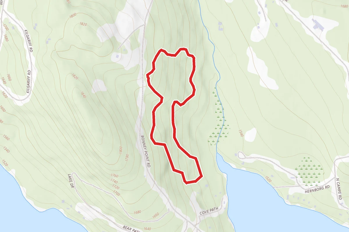 Bonney Point Loop