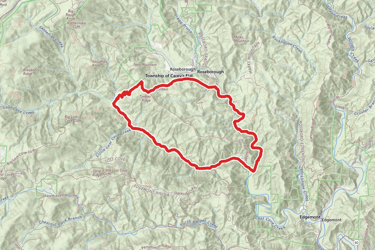 Lost Cove Creek and Bee Mountain Loop Trail