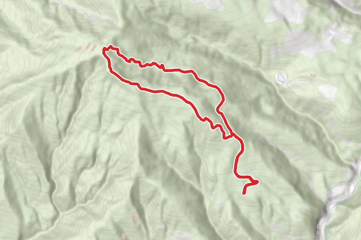 Rattlensake Trail to Eagle In Tree and Ruth Perry Trail