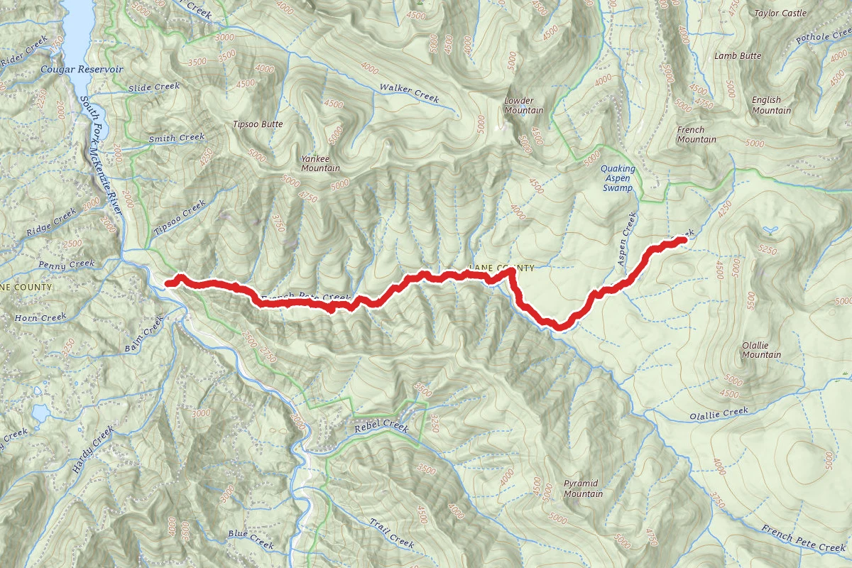French Pete Creek Trail