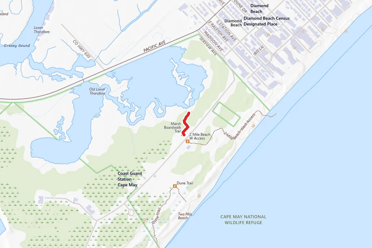 Cape May Marsh Boardwalk