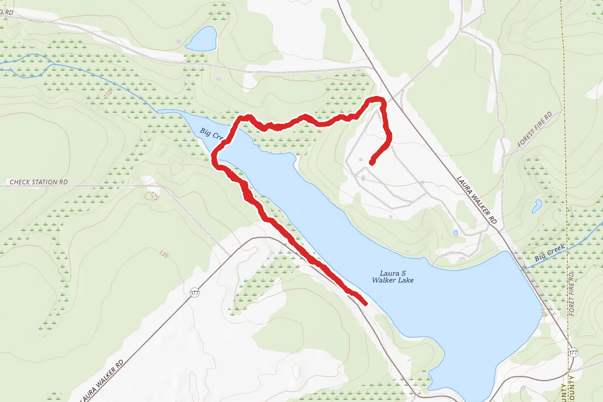 Laura S. Walker Lake Boardwalk Trail