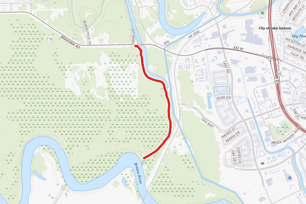 Lake Jackson Forest Trail