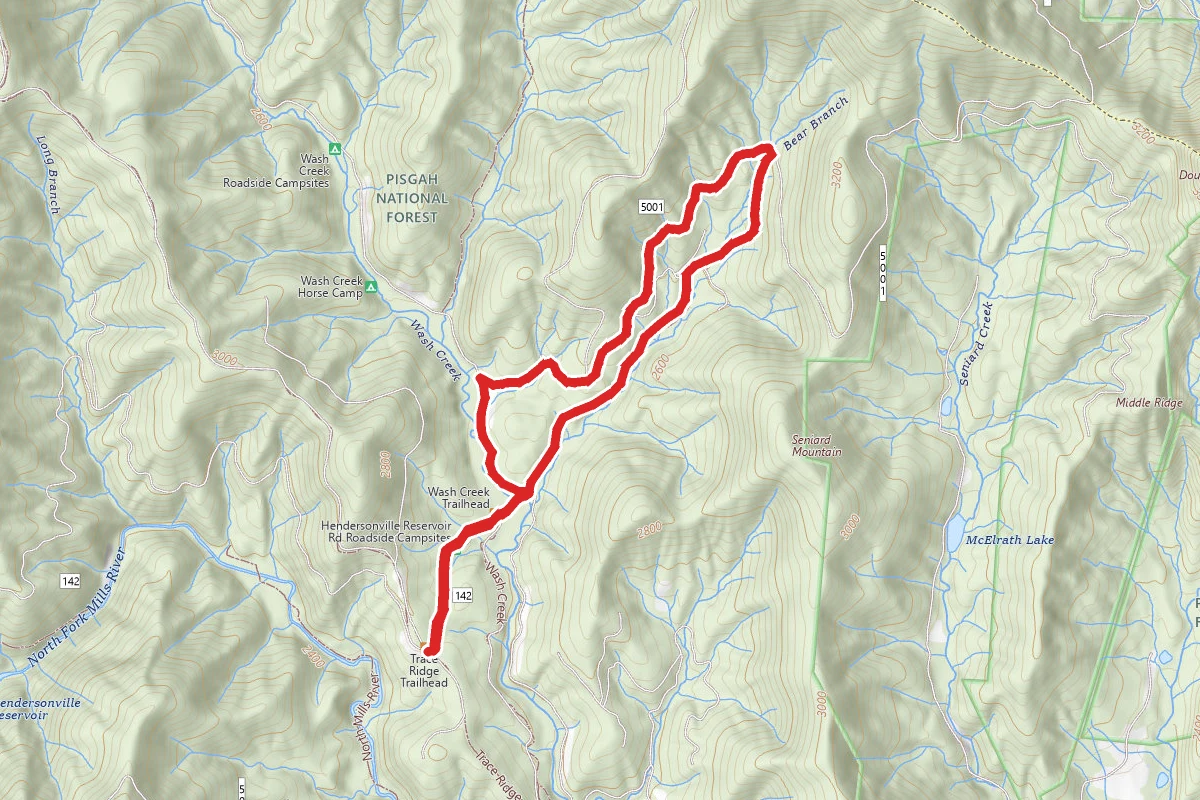 Bear Branch Loop Trail