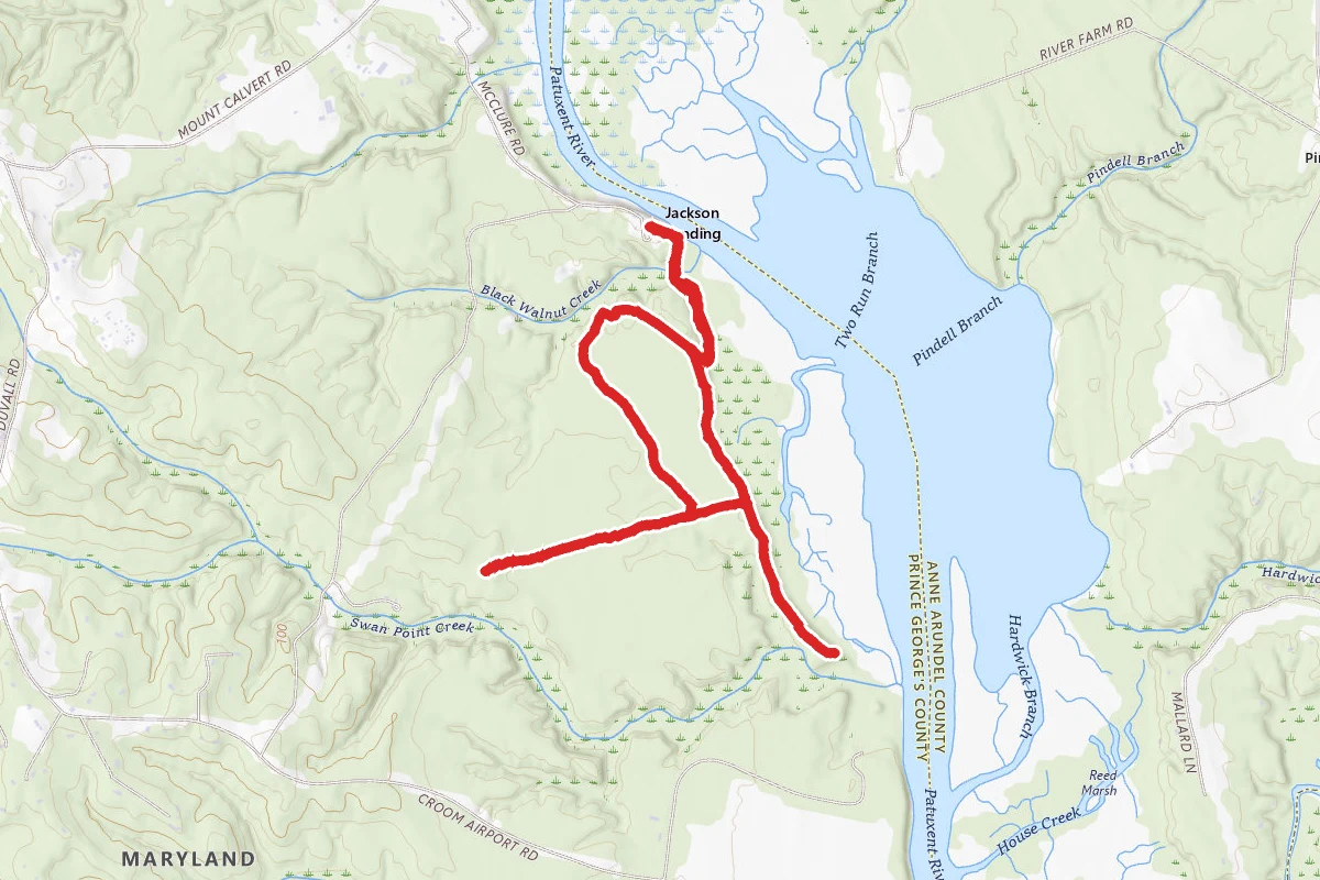 Jug Bay Green Trail