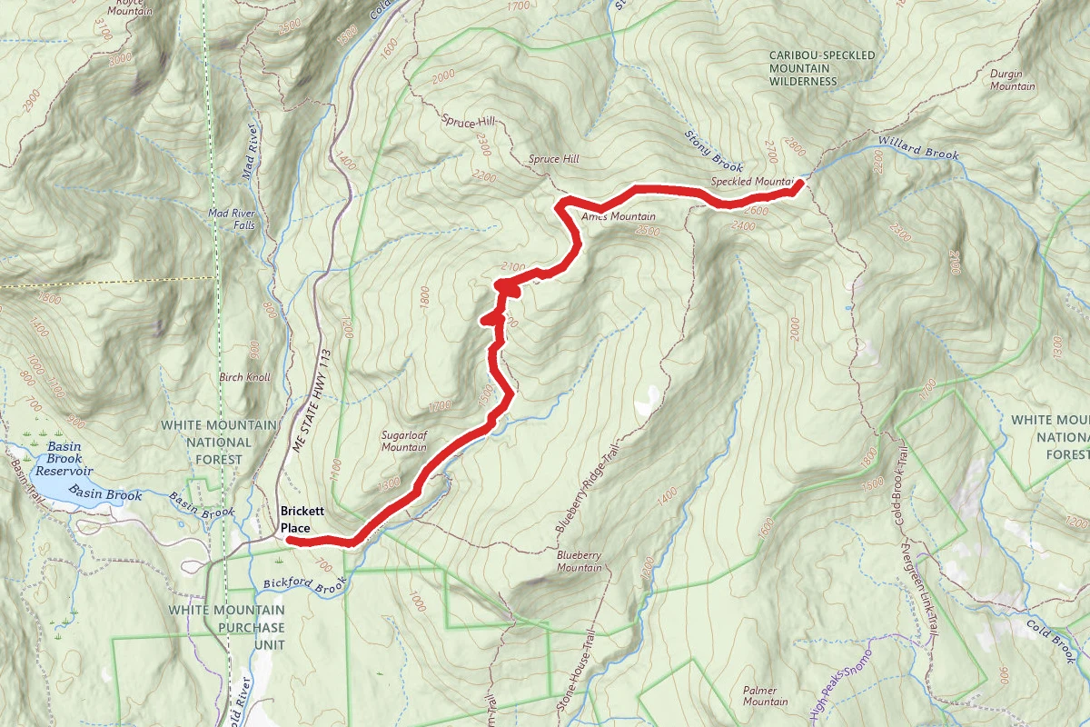 Bickford Brook Trail to Speckled Mountain
