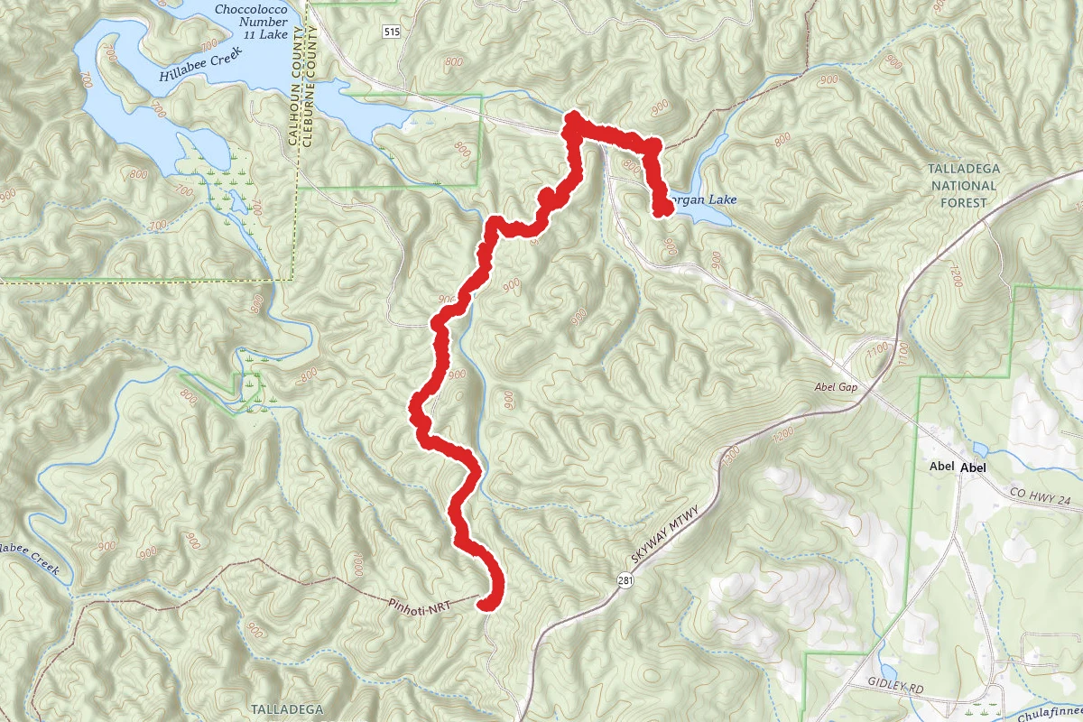 Pinhoit Trail from Morgan Lake