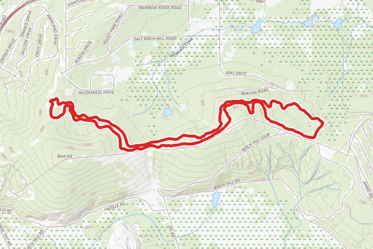 Birch Hill White Bear Loop