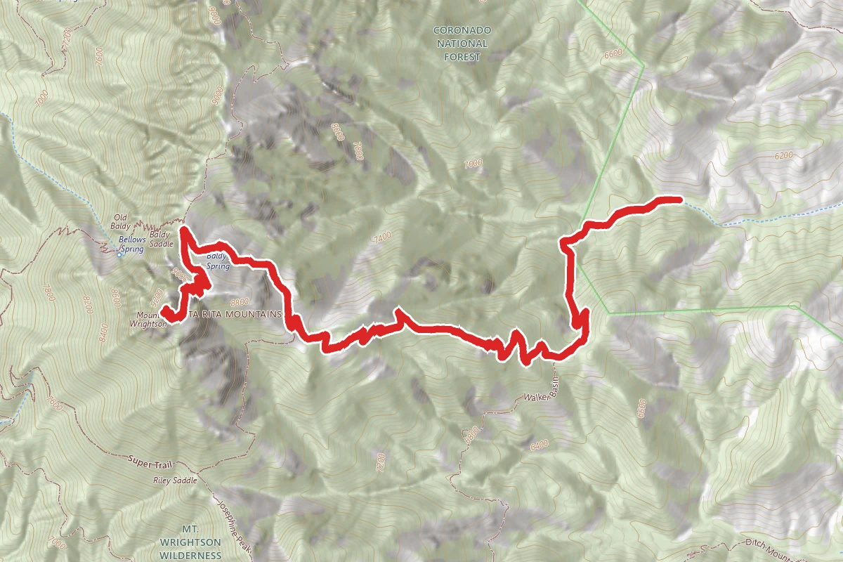 Gardner Canyon to Mount Wrightson