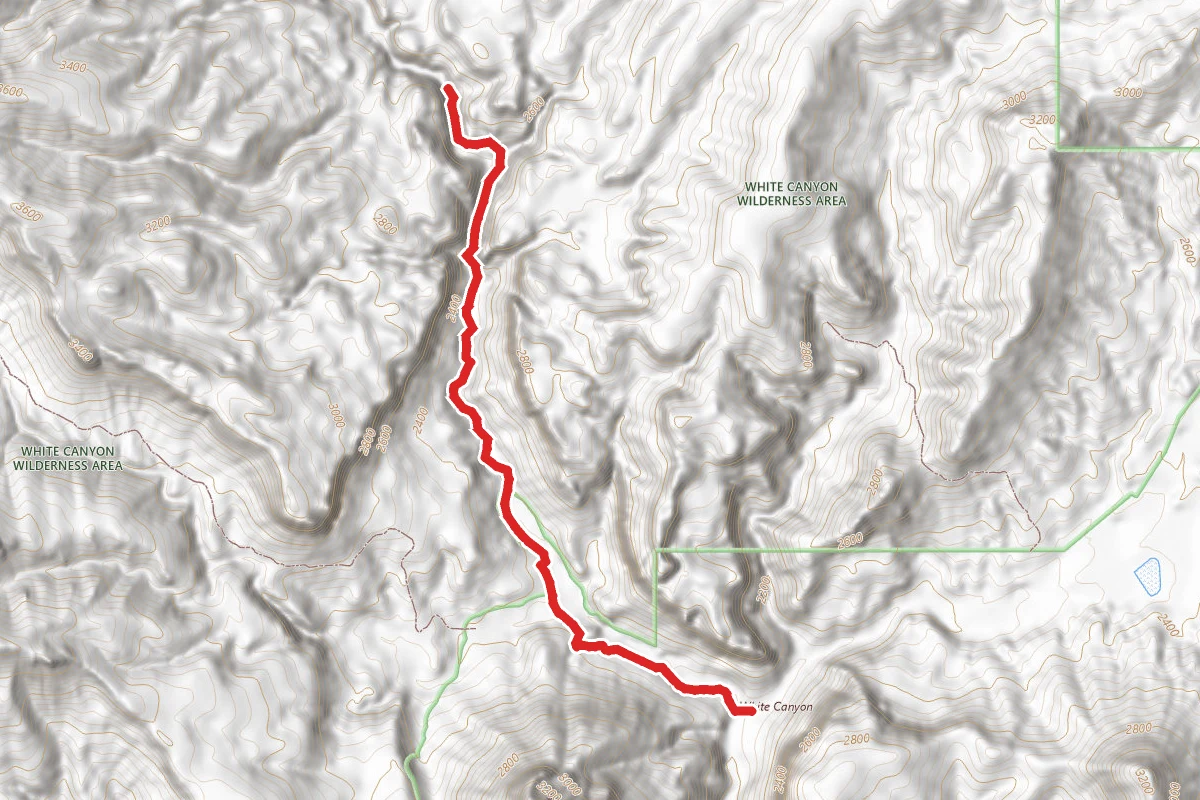 White Canyon