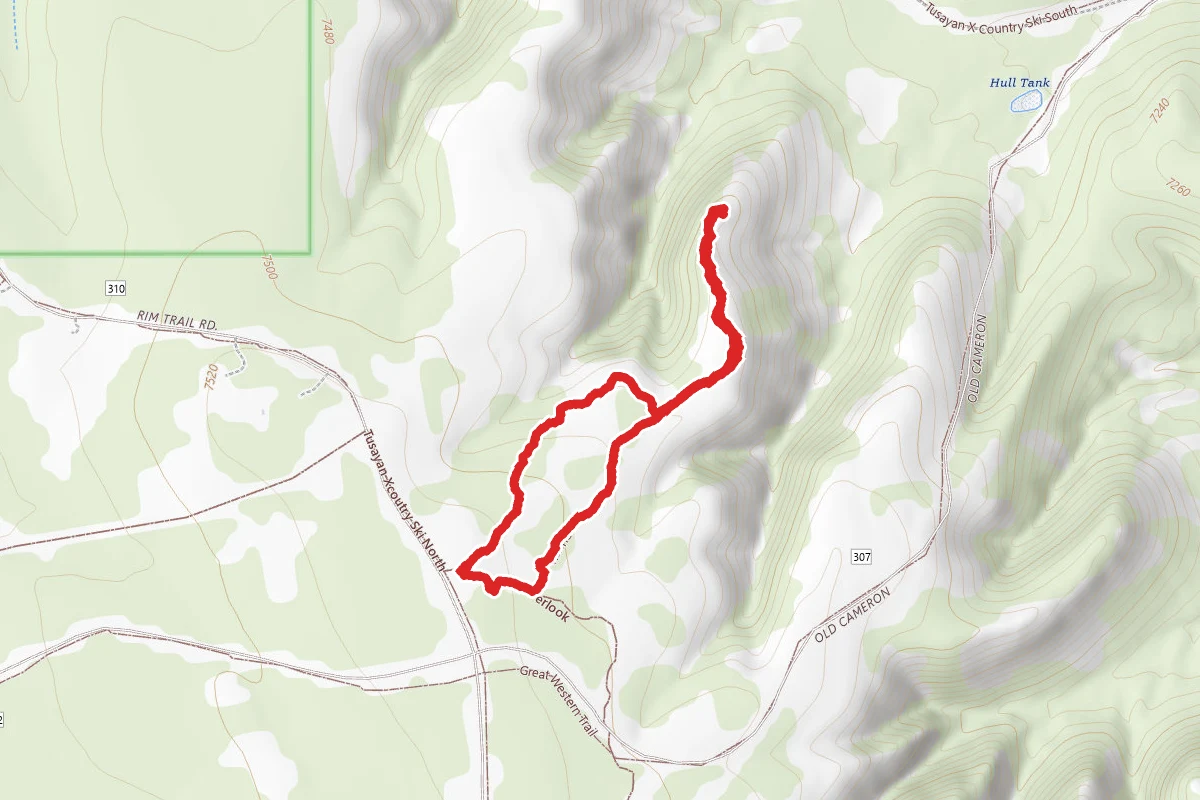 Vishnu Trail
