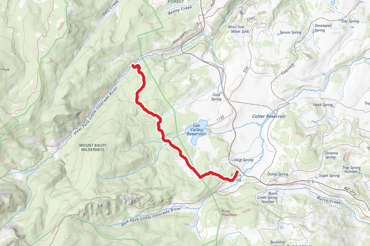Mount Baldy Crossover Trail #96 via East Baldy Trailhead