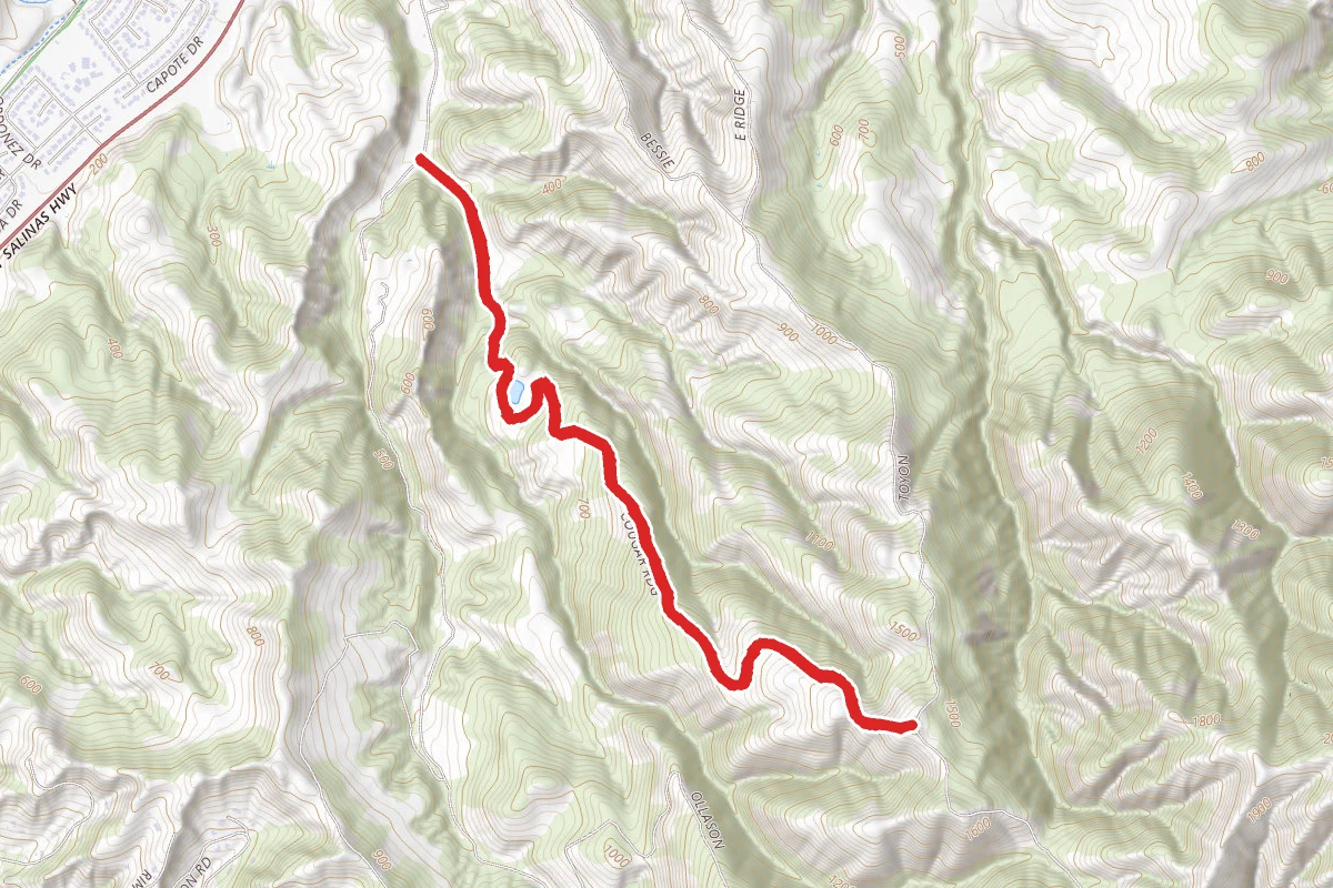 Cougar Ridge Trail