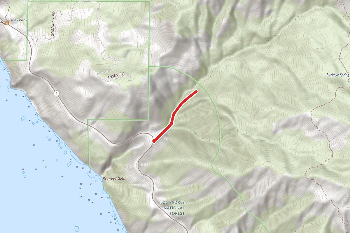 Redwood Gulch