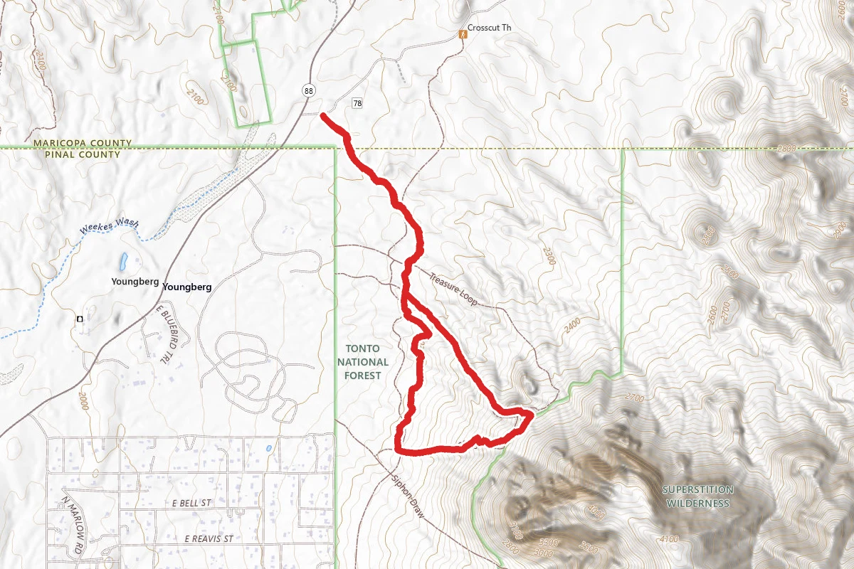Prospector's View Trail