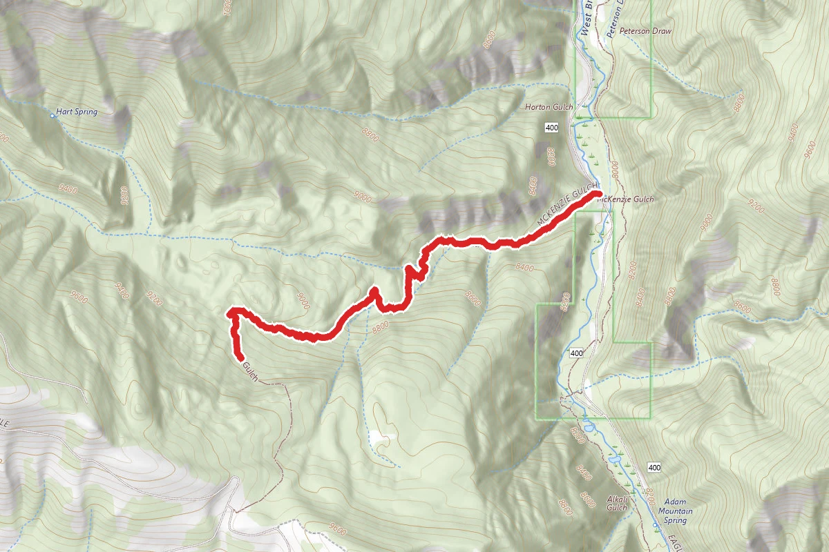 McKenzie Gulch