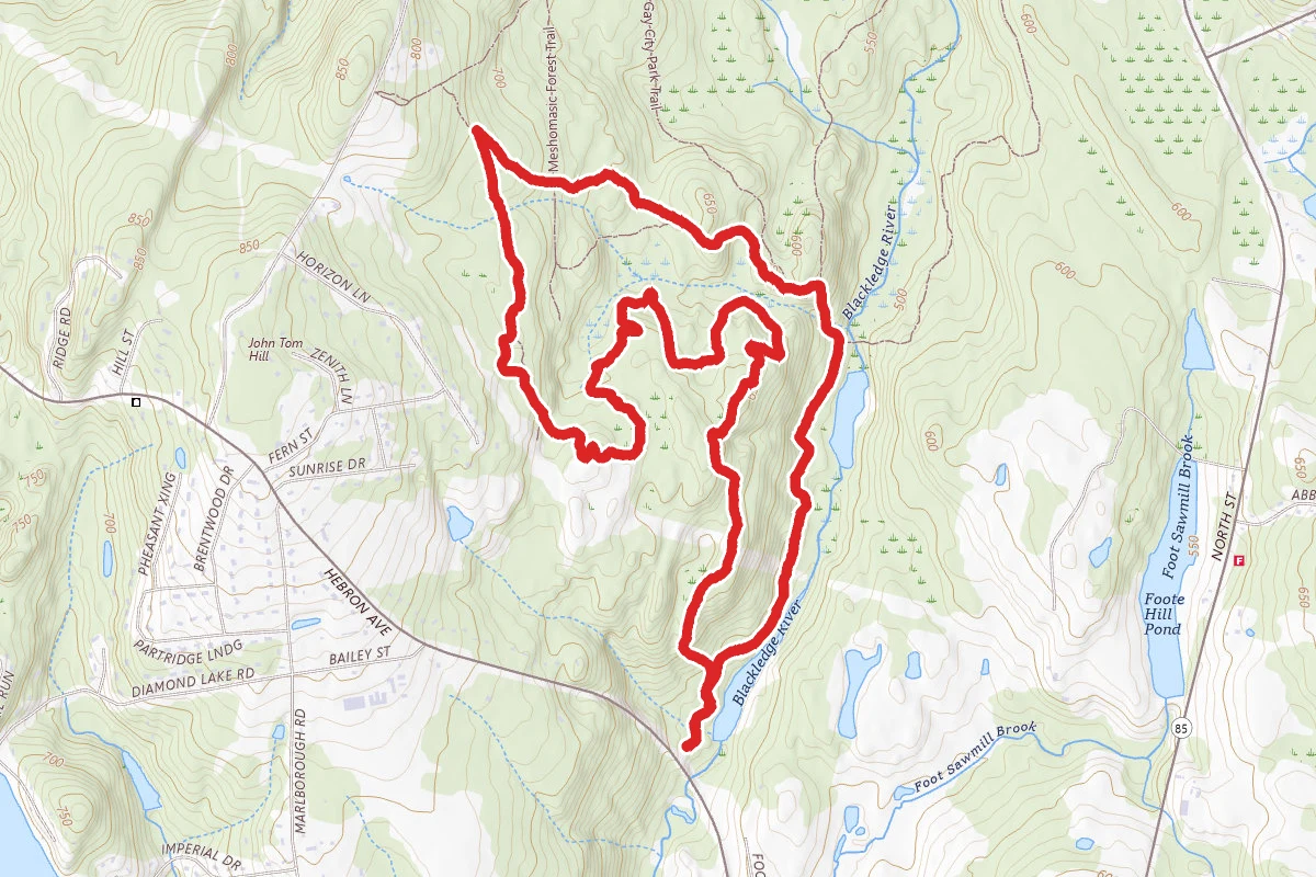 Blue Upper Loop