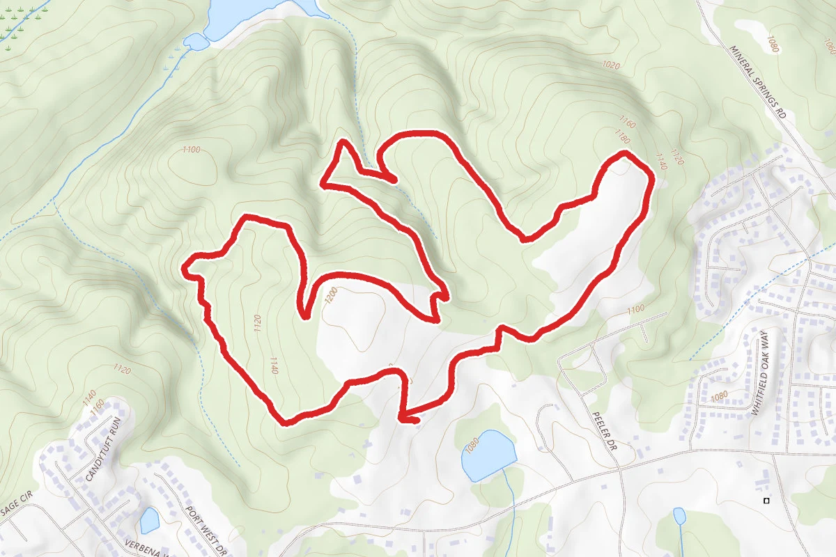 Little Mulberry Trail