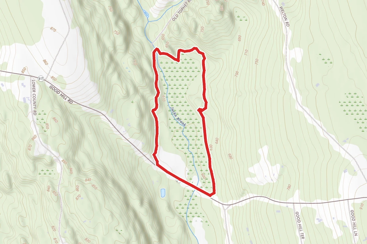 Lilly Preserve Blue Loop