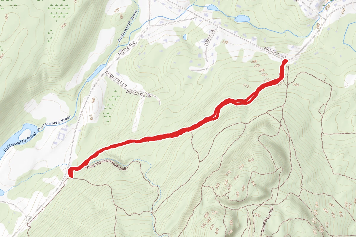 Horse Trail