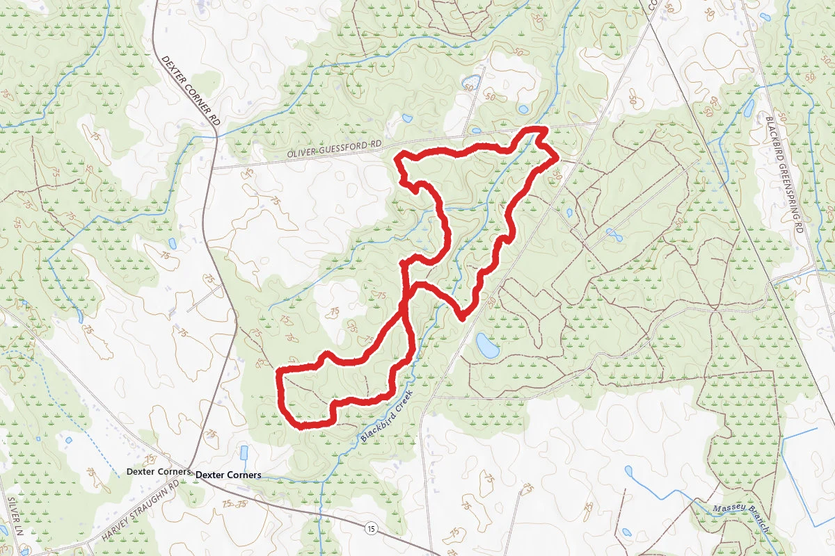 Tybout Tract Red Loop Trail