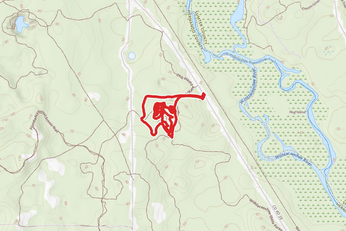 Croom Trail Short Loop