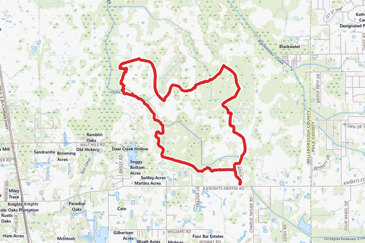 Lower Green Swamp Outer Loop