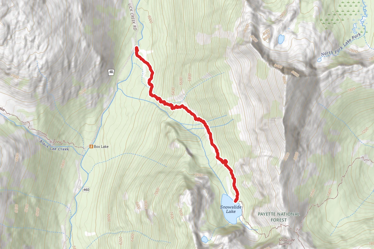 Snowslide Lake Trail