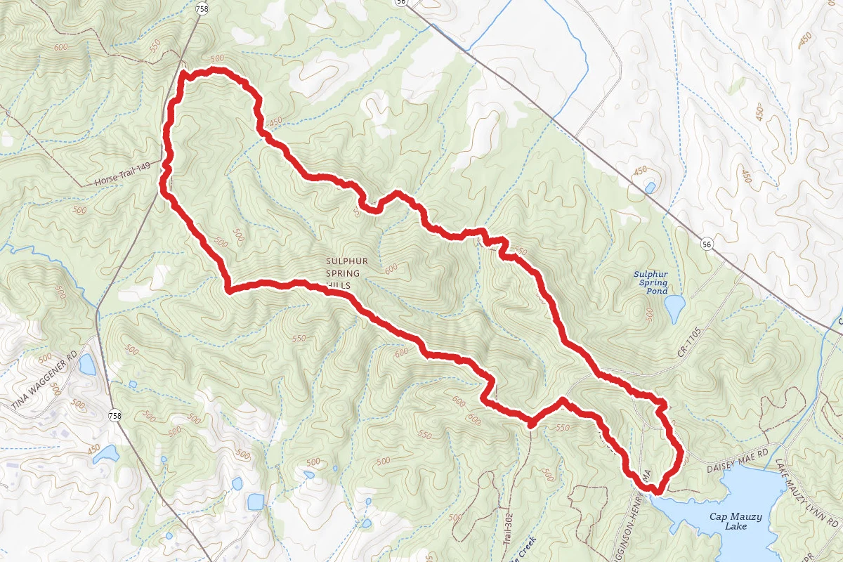 Higginson-Henry Wildlife Trail